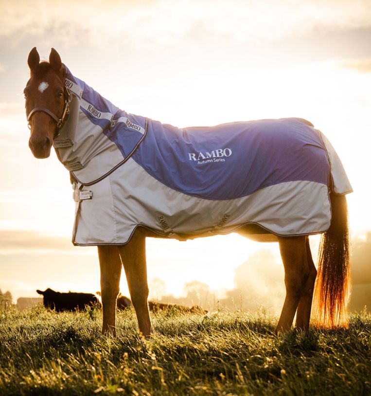 Horseware Rambo® Autumn Series Turnout (0g Outer with 100g Liner)