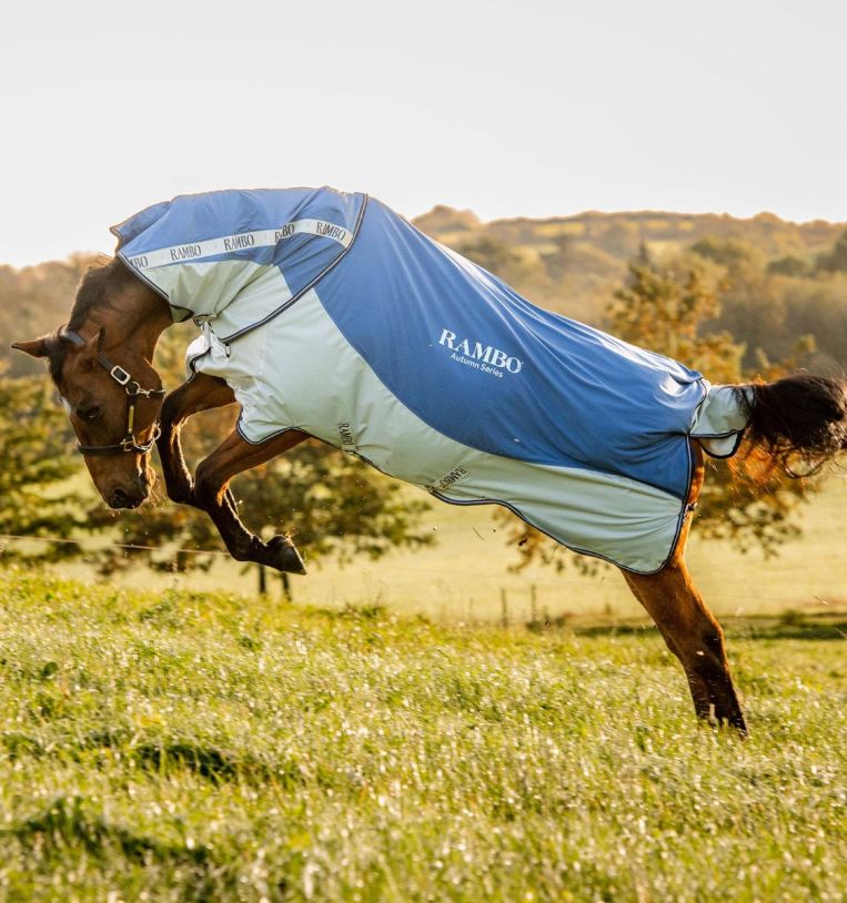 Horseware Rambo® Autumn Series Turnout (0g Outer with 100g Liner)