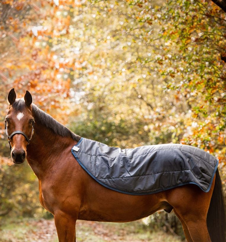 Horseware Rambo® Autumn Series Turnout (0g Outer with 100g Liner)