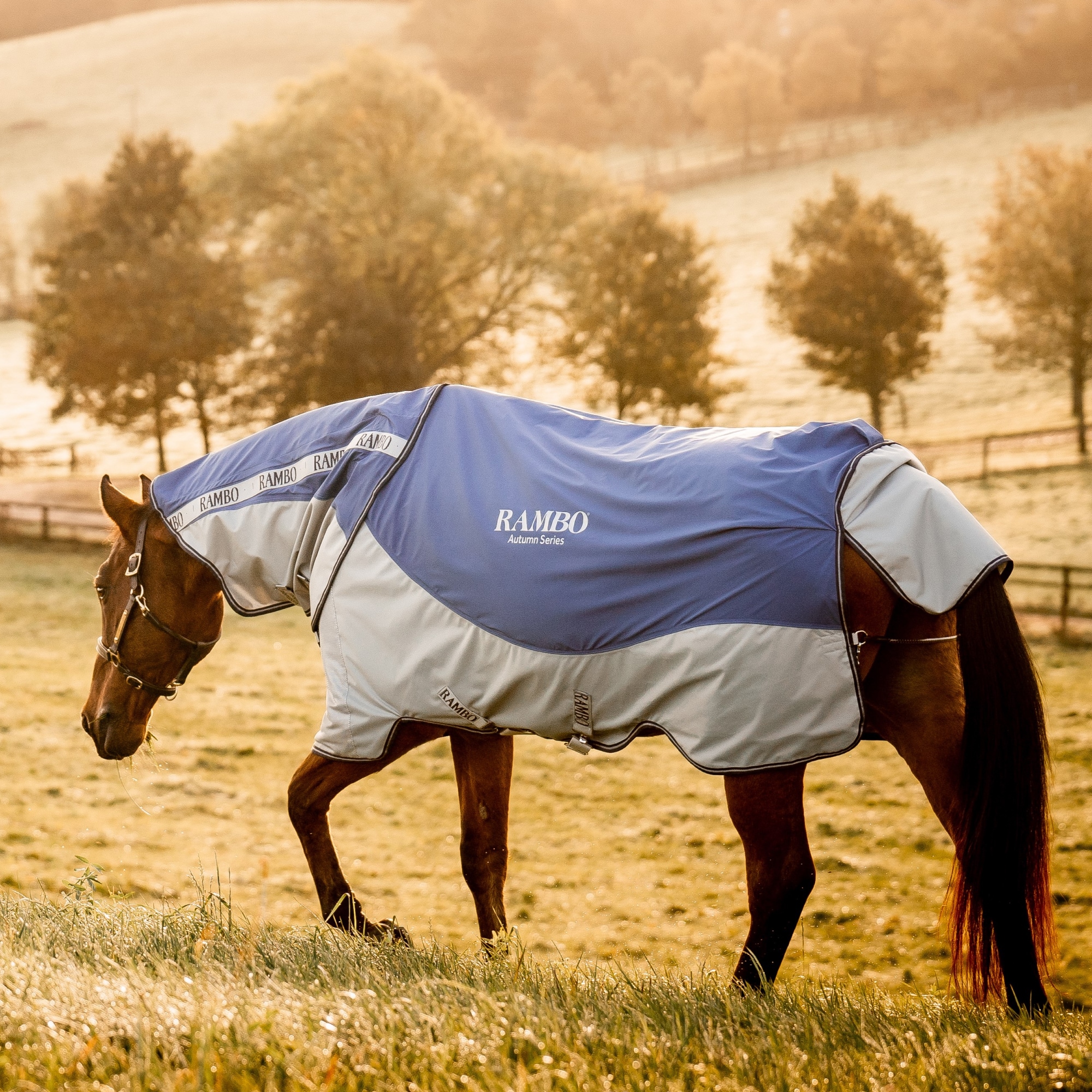 Horseware Rambo® Série d'automne Turnout (0g Outer with 100g Liner)