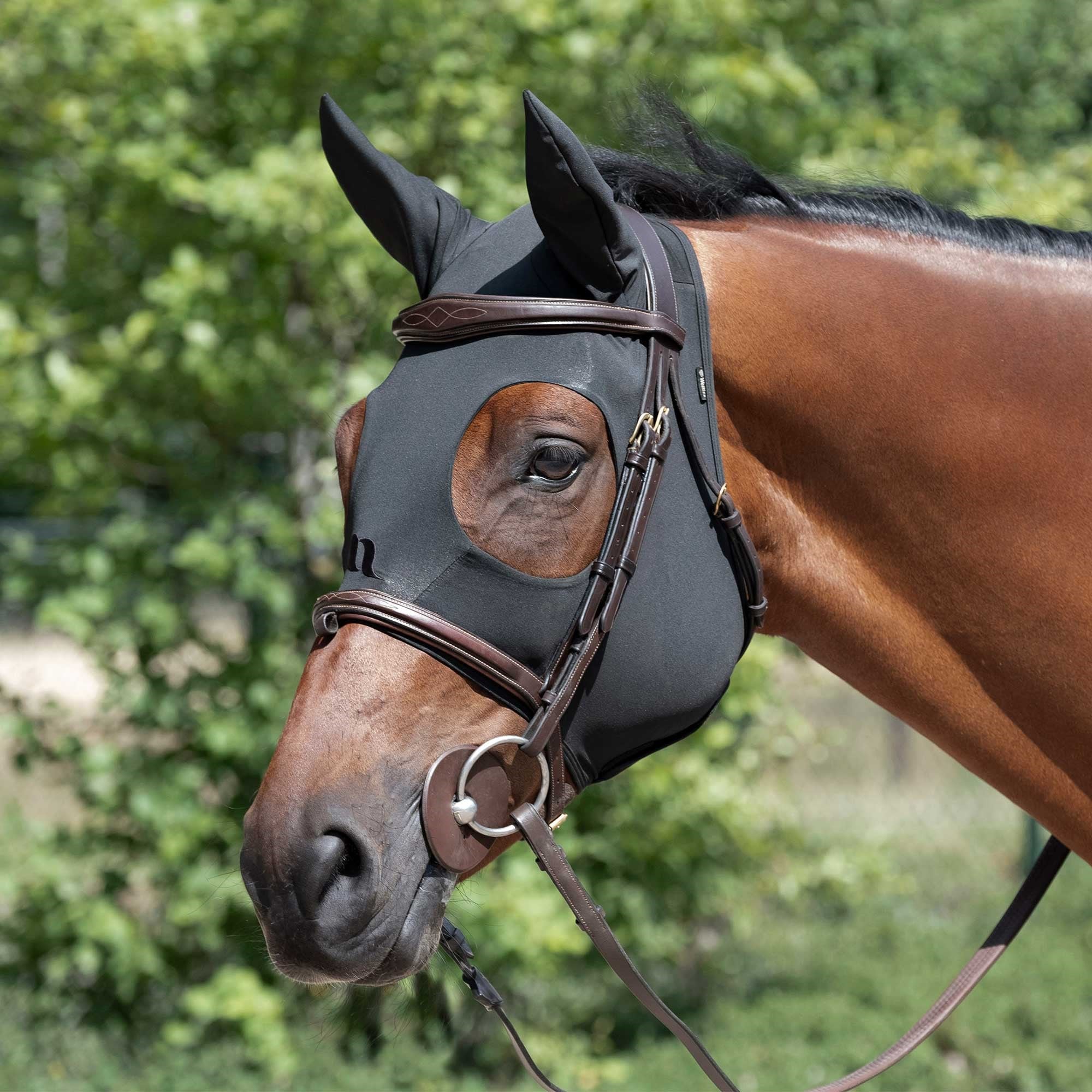 Back on Track Spirit Soothing Hood with Ears