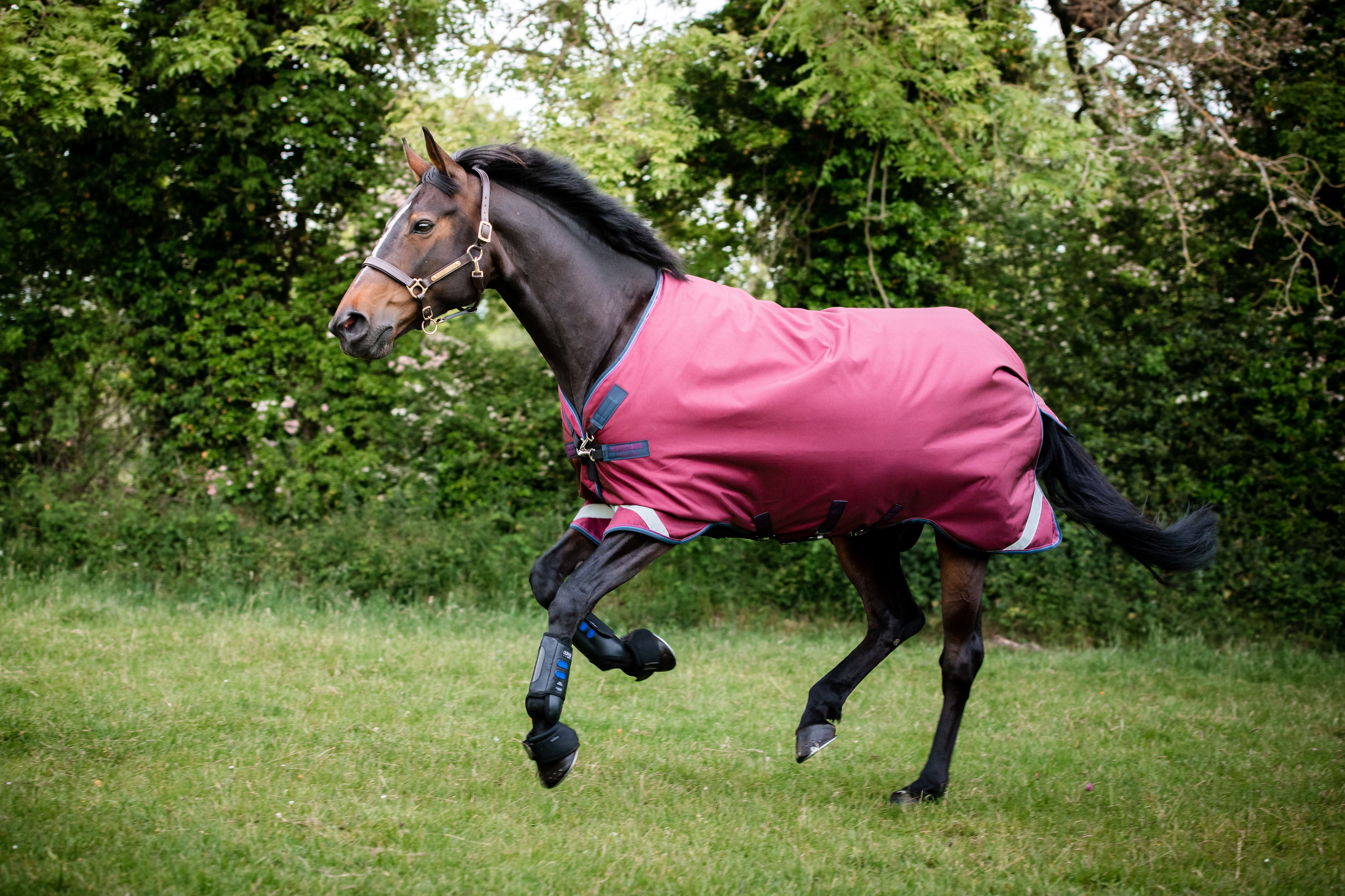 Horseware Rambo Original Turnout with Leg Arches, 0g