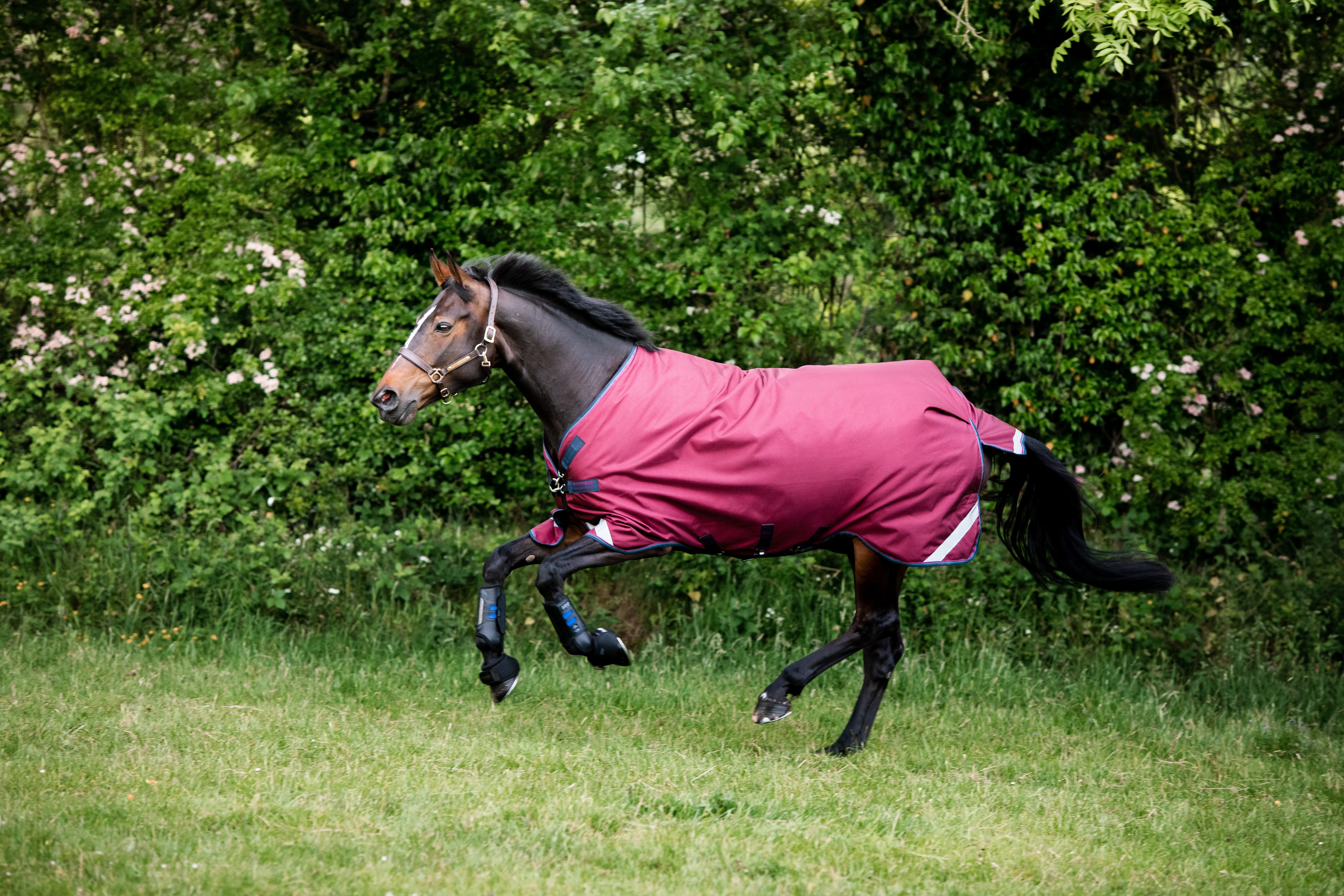 Horseware Rambo Original Turnout with Leg Arches, 0g