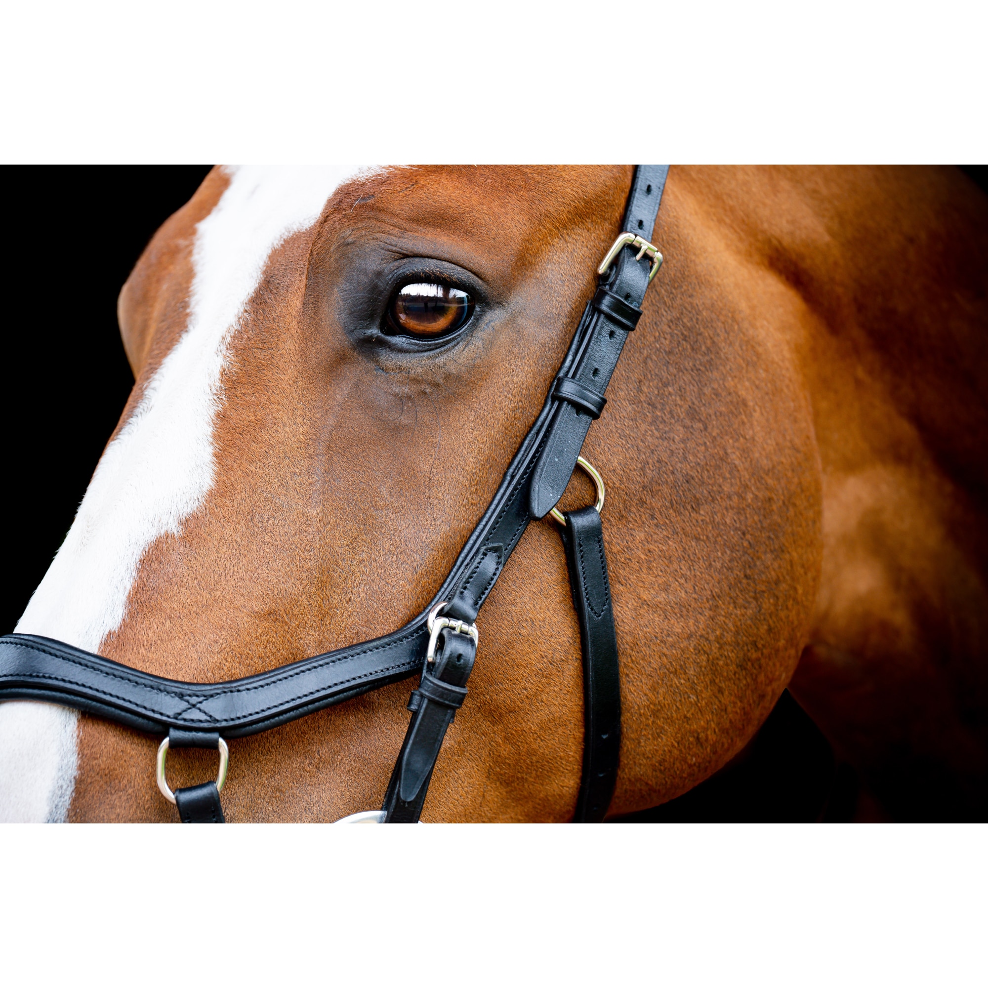 Horseware Micklem® Competition Bridle mit Gummizügel