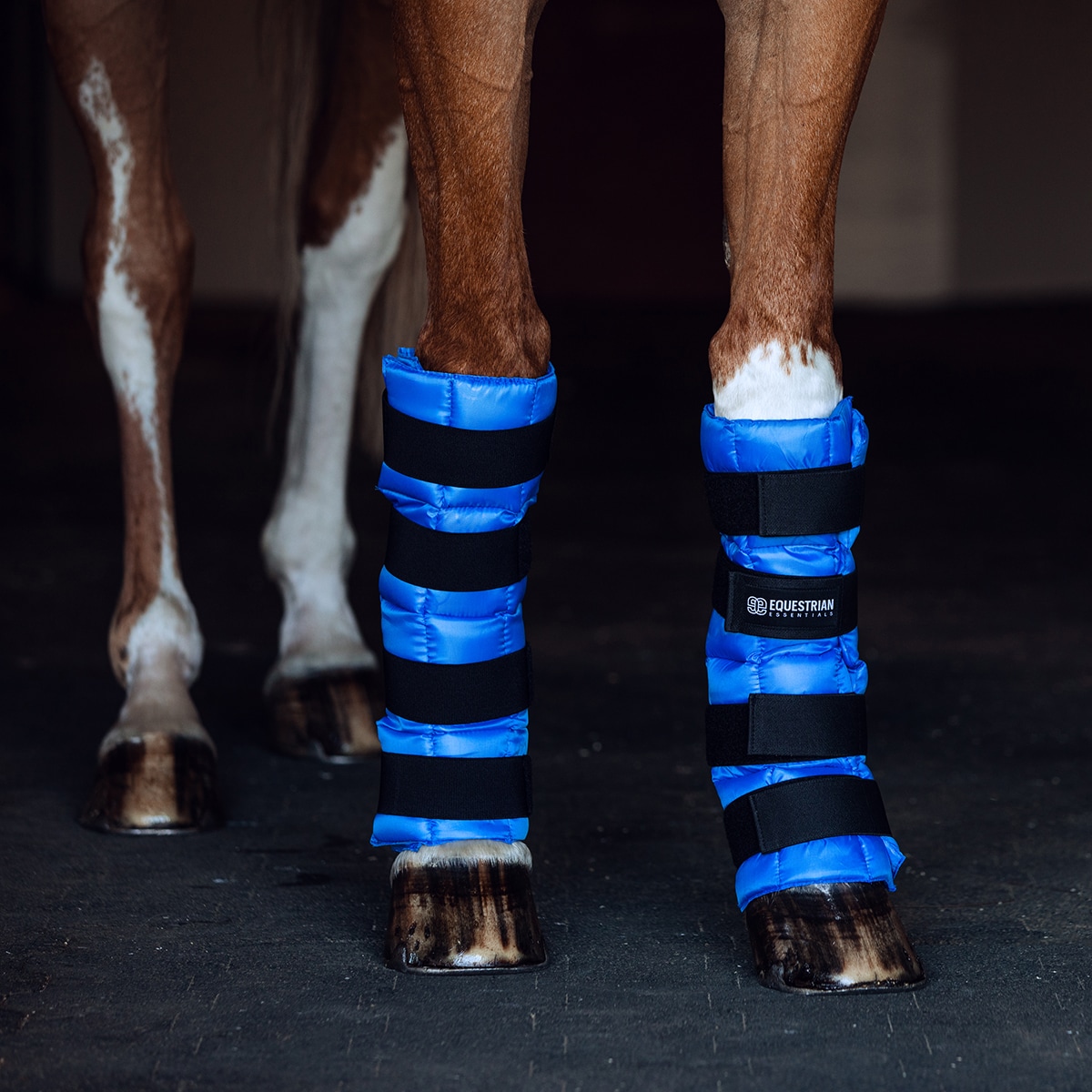 Equestrian Essentials kylmäyssuojat (pari)