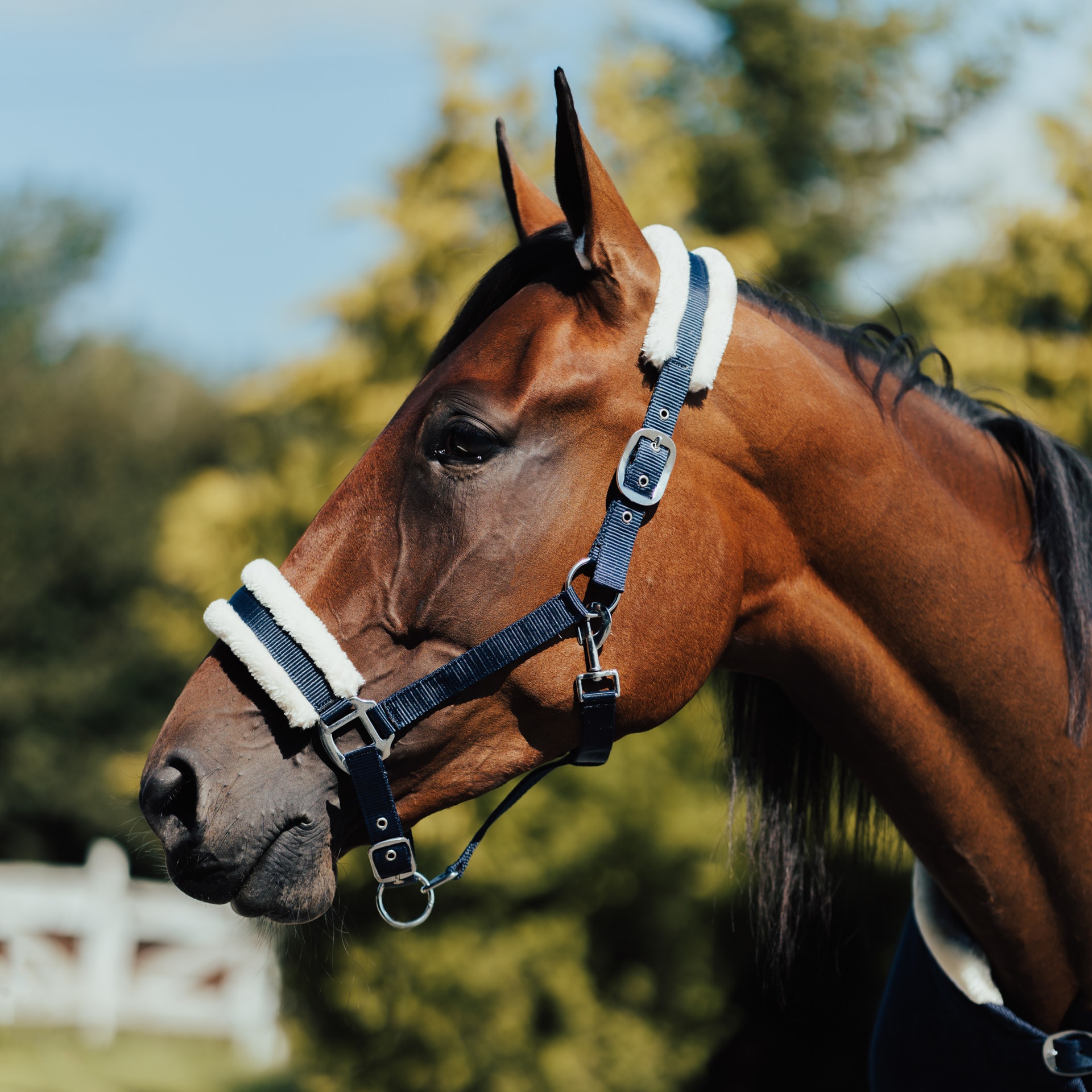 Equestrian Essentials grime med fuskepels