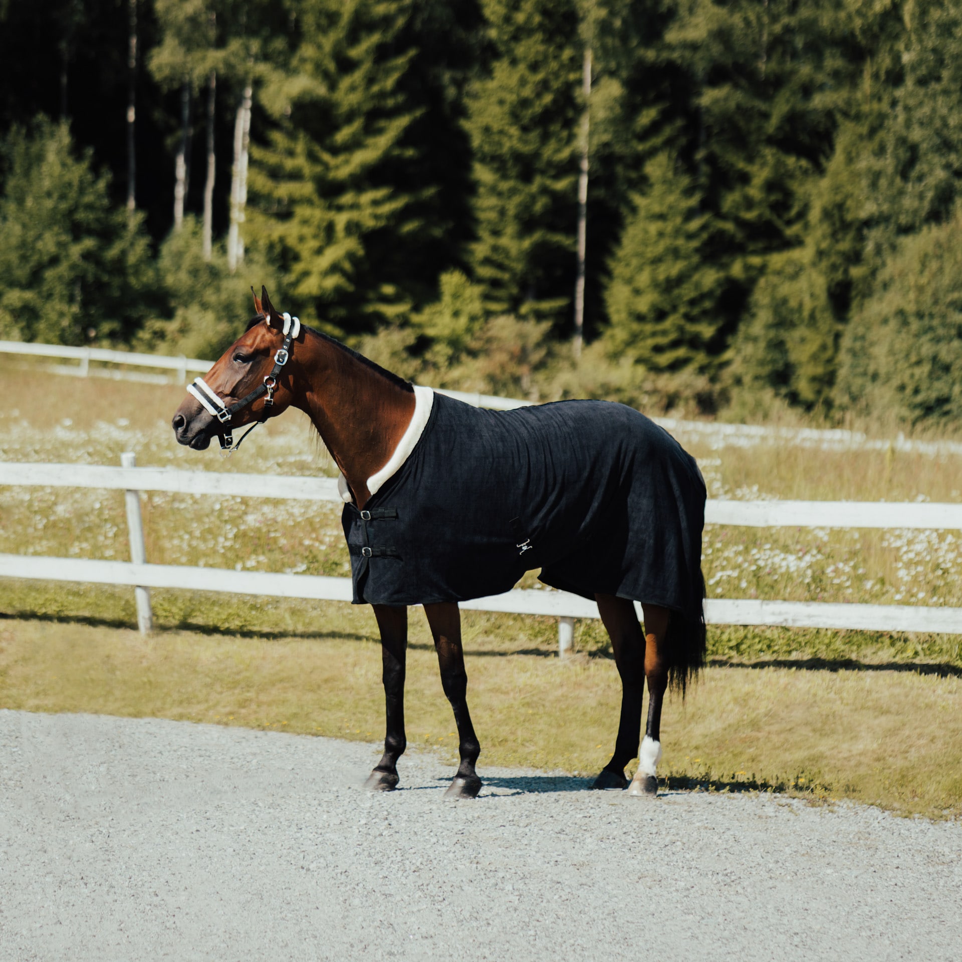 Equestrian Essentials Fleece Rug with Faux Fur Collar