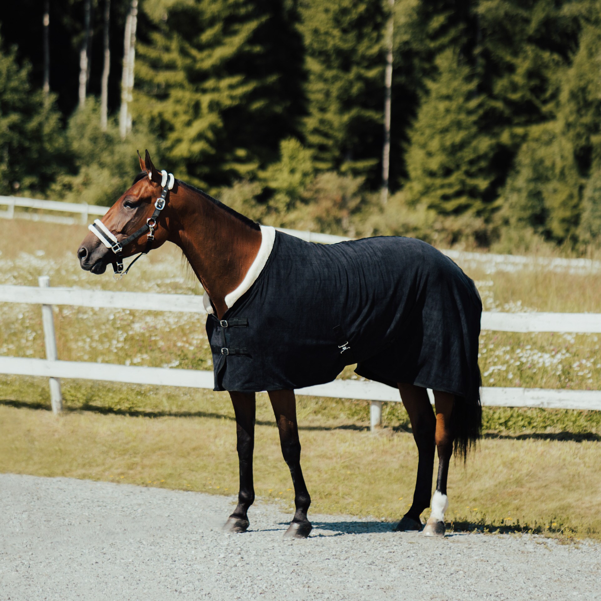 Equestrian Essentials fleecedekken med pelskrage
