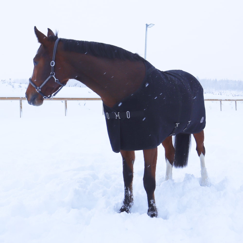 Couverture en laine Equestrian Essentials, 680g