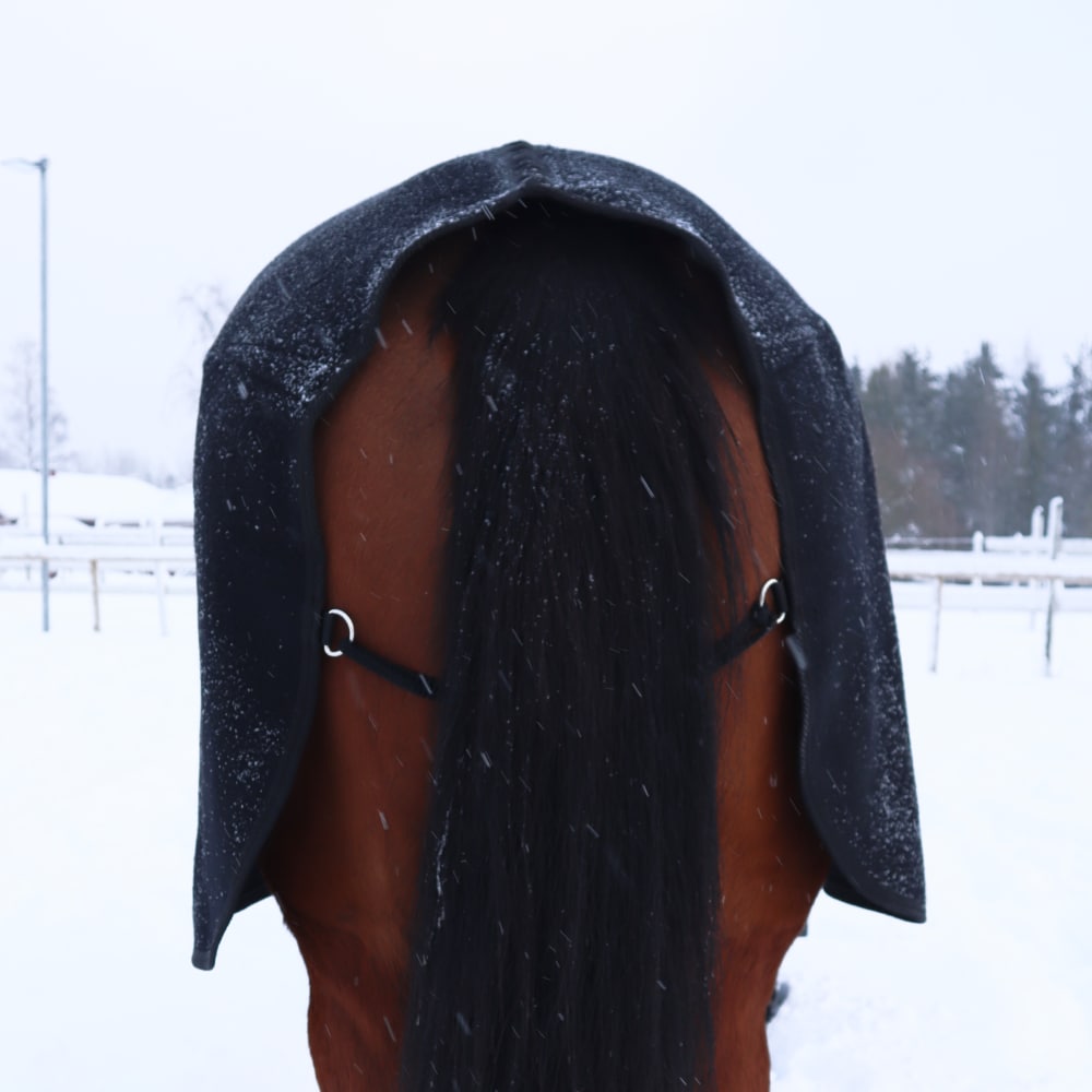 Couverture en laine Equestrian Essentials, 680g