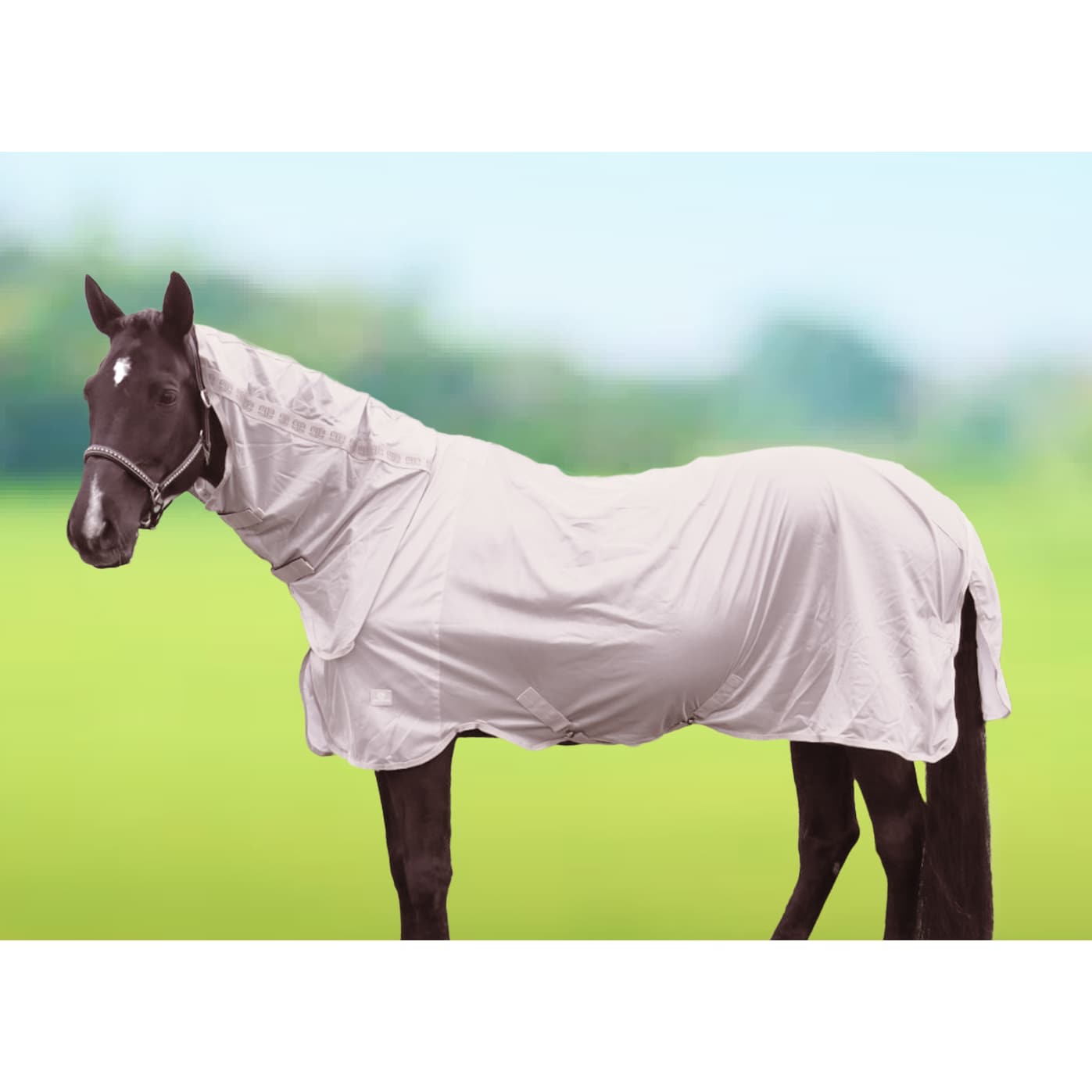 Equestrian Essential Fluedækken med kombineret hals