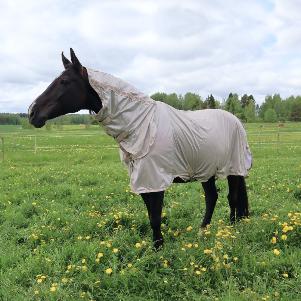 Fly Rug with Combo Neck