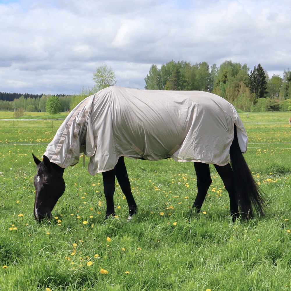Fly Rug with Combo Neck