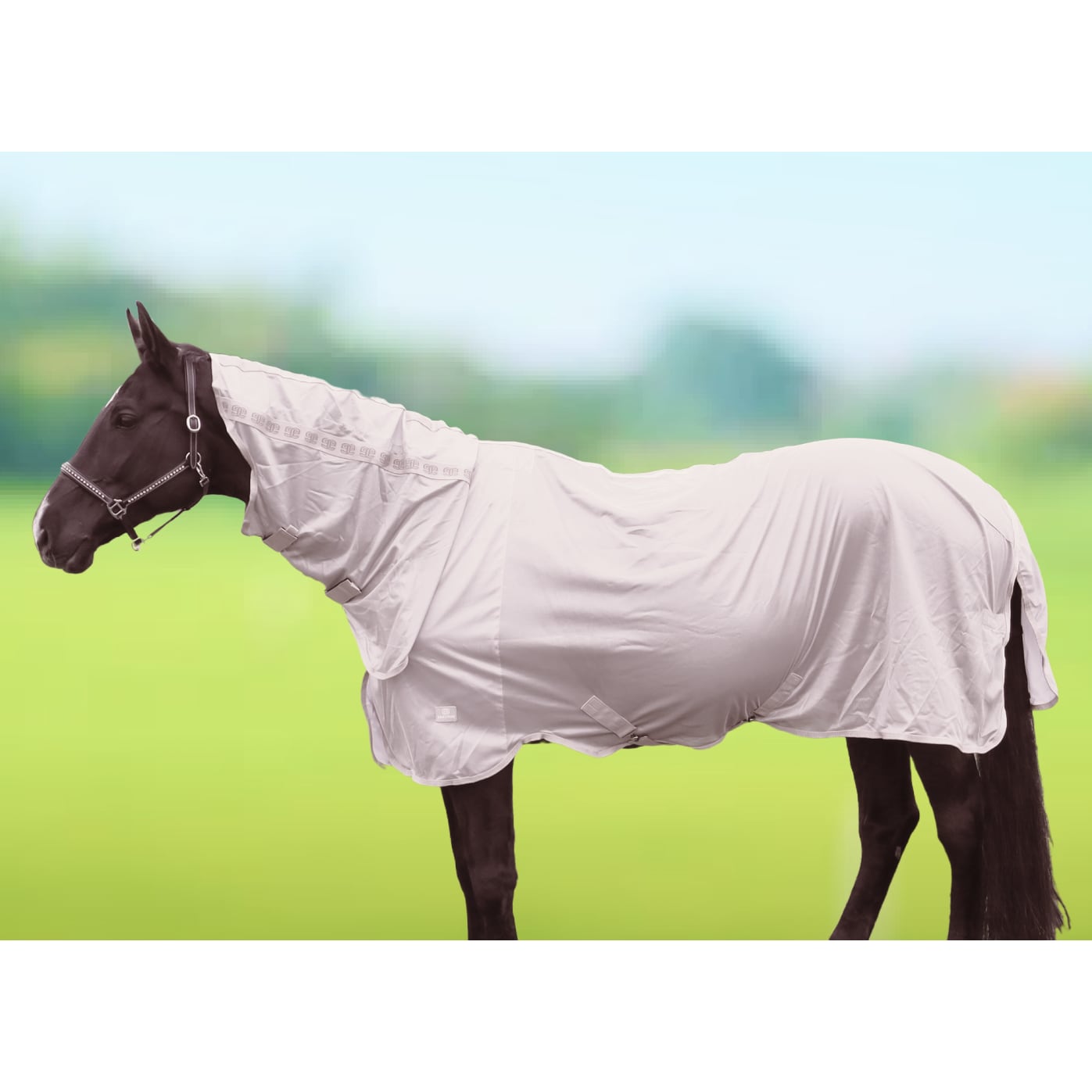 Equestrian Essential Fluedækken med kombineret hals