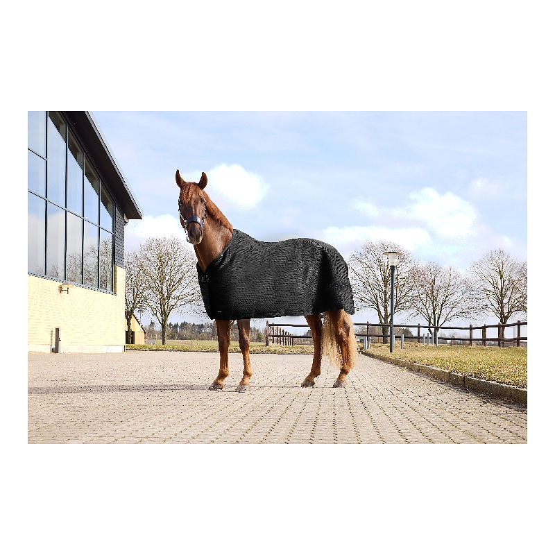 KLNORRIS AIR MES COOLING RUG